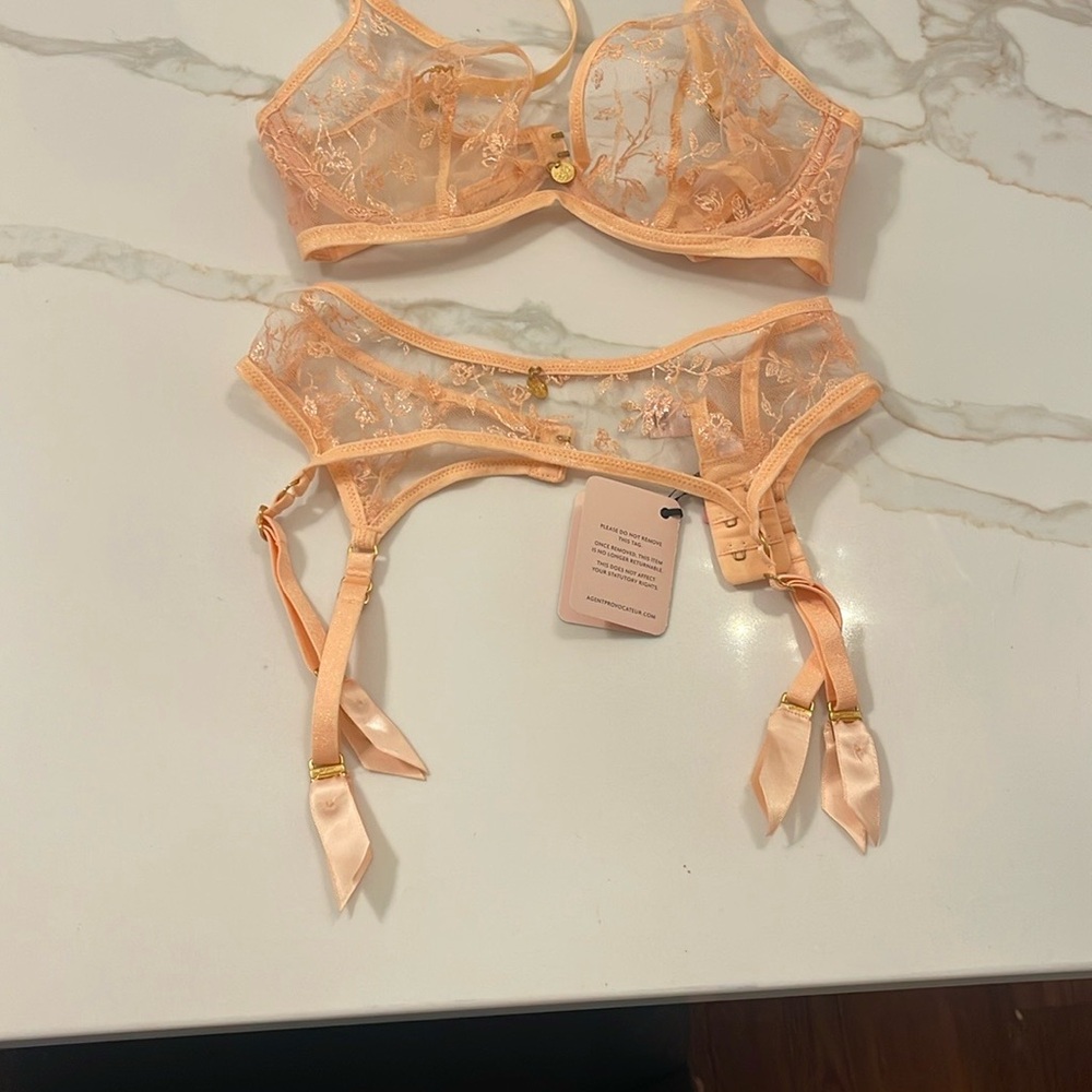 NWT Agent Provocateur Sheer Peach Bra and Suspender Belt size 32C and 3 (M)